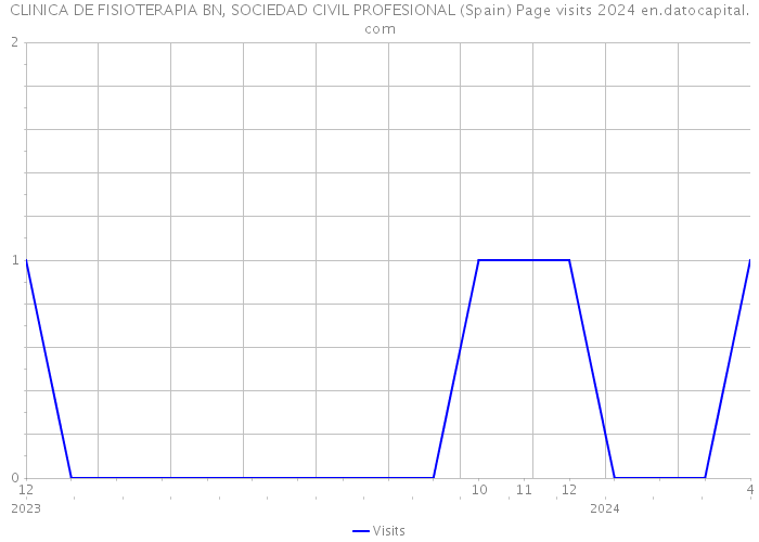 CLINICA DE FISIOTERAPIA BN, SOCIEDAD CIVIL PROFESIONAL (Spain) Page visits 2024 