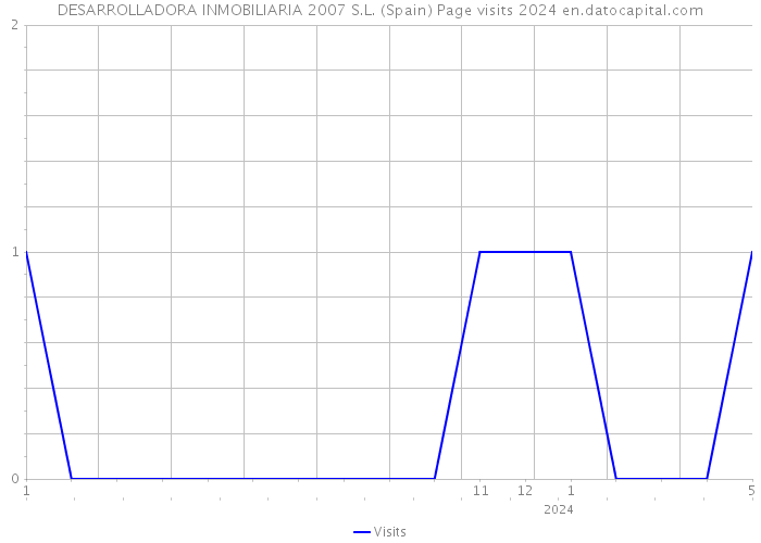 DESARROLLADORA INMOBILIARIA 2007 S.L. (Spain) Page visits 2024 