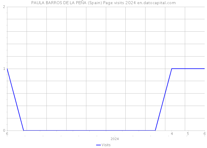 PAULA BARROS DE LA PEÑA (Spain) Page visits 2024 