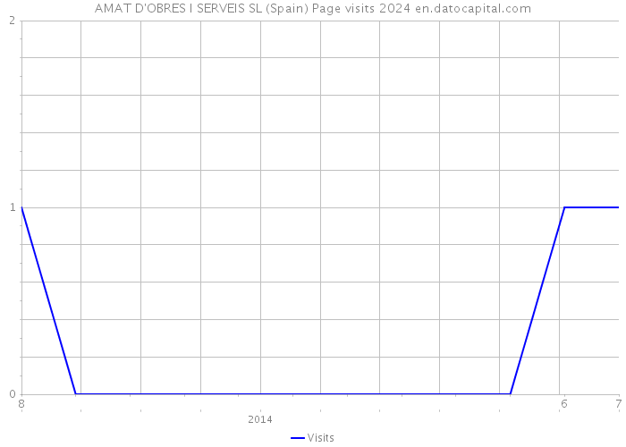 AMAT D'OBRES I SERVEIS SL (Spain) Page visits 2024 