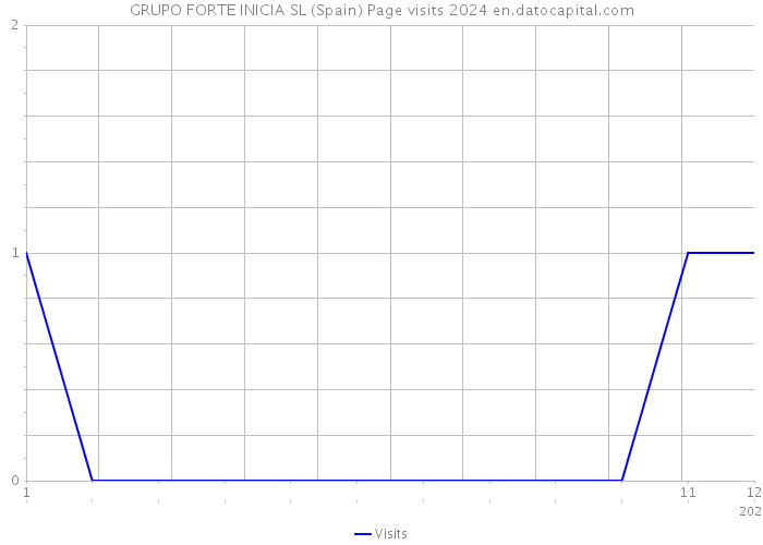 GRUPO FORTE INICIA SL (Spain) Page visits 2024 