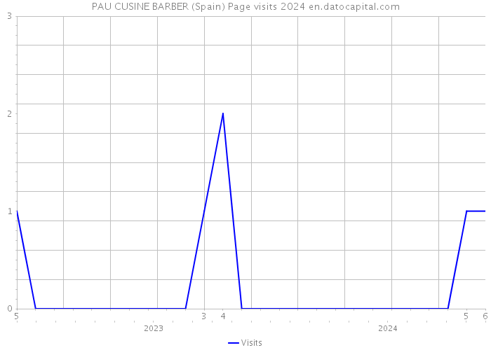 PAU CUSINE BARBER (Spain) Page visits 2024 