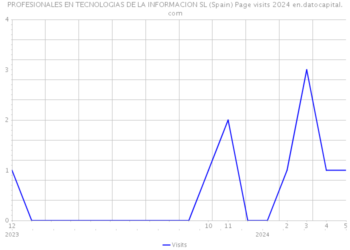 PROFESIONALES EN TECNOLOGIAS DE LA INFORMACION SL (Spain) Page visits 2024 