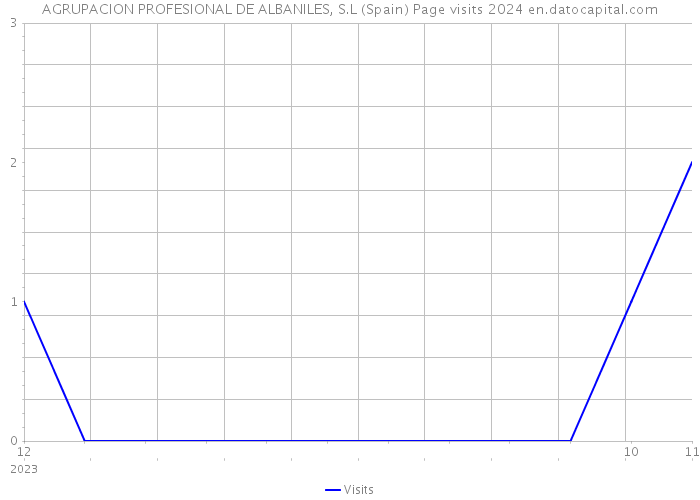 AGRUPACION PROFESIONAL DE ALBANILES, S.L (Spain) Page visits 2024 