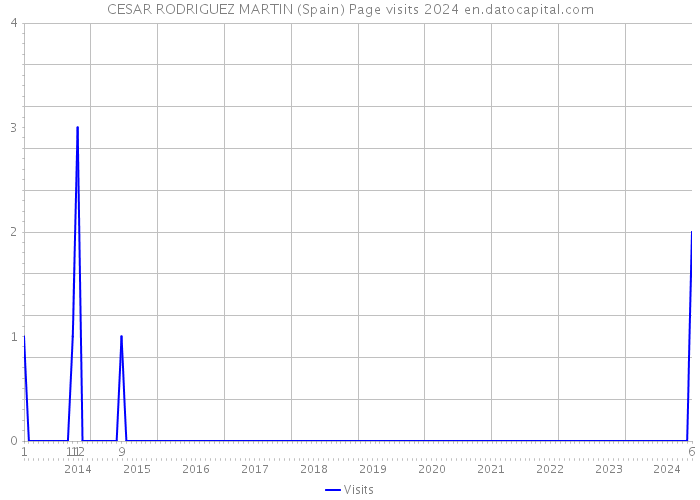 CESAR RODRIGUEZ MARTIN (Spain) Page visits 2024 