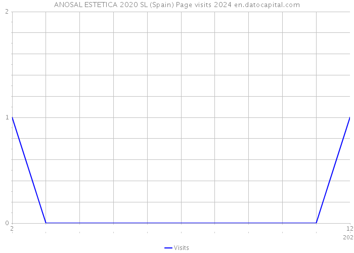 ANOSAL ESTETICA 2020 SL (Spain) Page visits 2024 