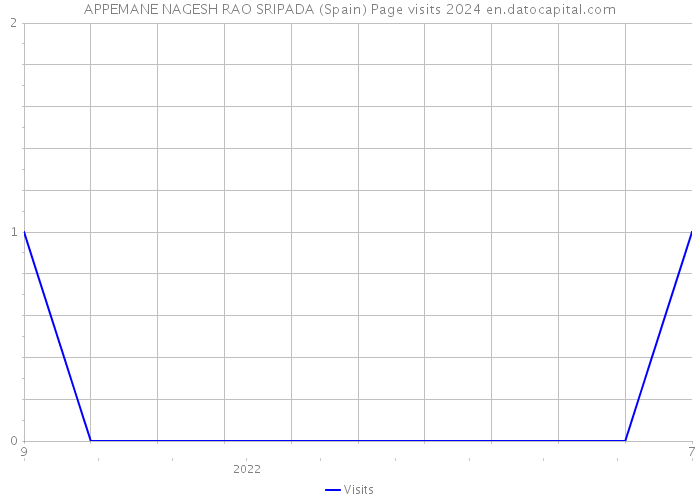 APPEMANE NAGESH RAO SRIPADA (Spain) Page visits 2024 
