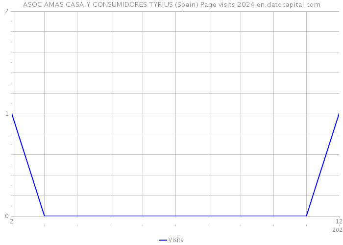 ASOC AMAS CASA Y CONSUMIDORES TYRIUS (Spain) Page visits 2024 