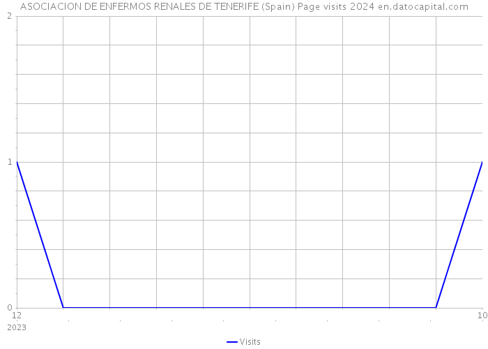 ASOCIACION DE ENFERMOS RENALES DE TENERIFE (Spain) Page visits 2024 