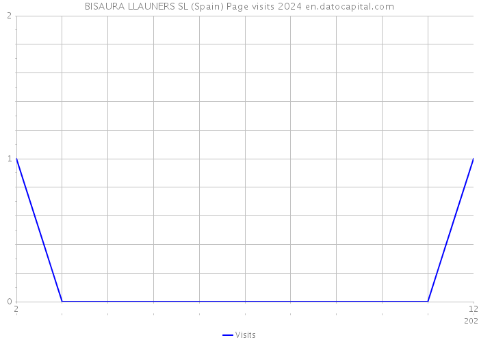 BISAURA LLAUNERS SL (Spain) Page visits 2024 