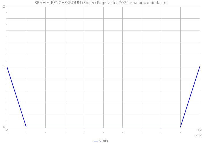 BRAHIM BENCHEKROUN (Spain) Page visits 2024 