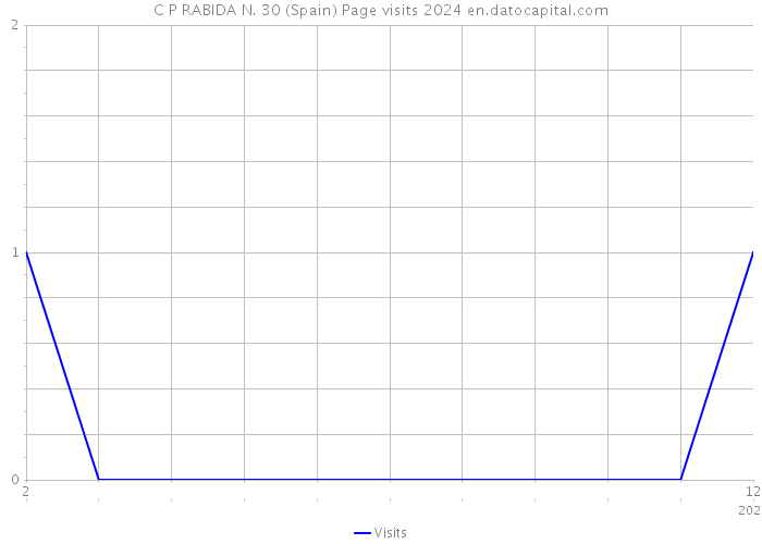 C P RABIDA N. 30 (Spain) Page visits 2024 