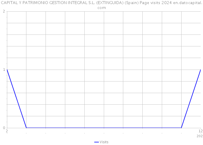 CAPITAL Y PATRIMONIO GESTION INTEGRAL S.L. (EXTINGUIDA) (Spain) Page visits 2024 