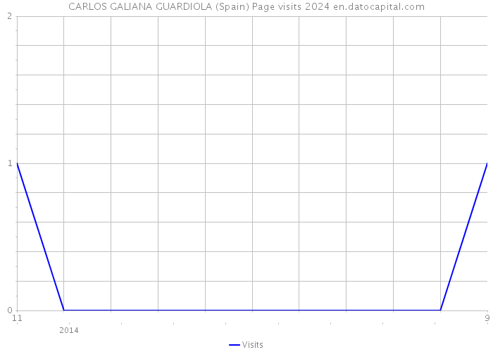 CARLOS GALIANA GUARDIOLA (Spain) Page visits 2024 