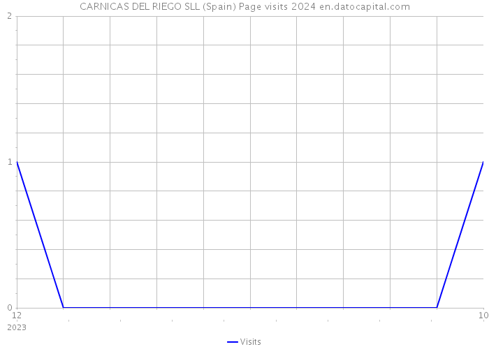 CARNICAS DEL RIEGO SLL (Spain) Page visits 2024 