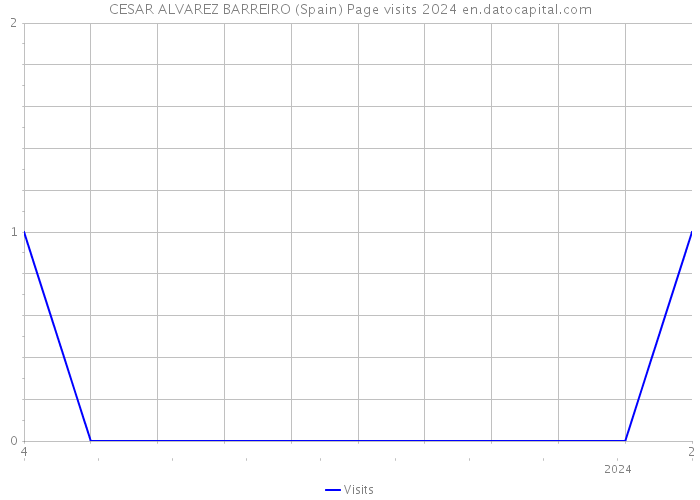 CESAR ALVAREZ BARREIRO (Spain) Page visits 2024 