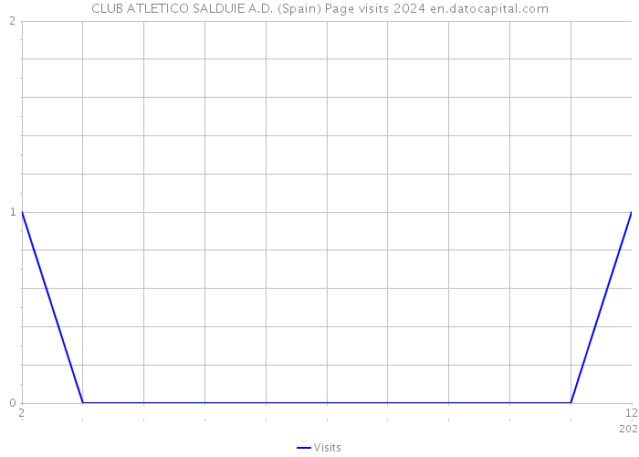 CLUB ATLETICO SALDUIE A.D. (Spain) Page visits 2024 