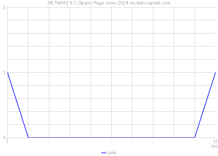 DE TAPAS S C (Spain) Page visits 2024 