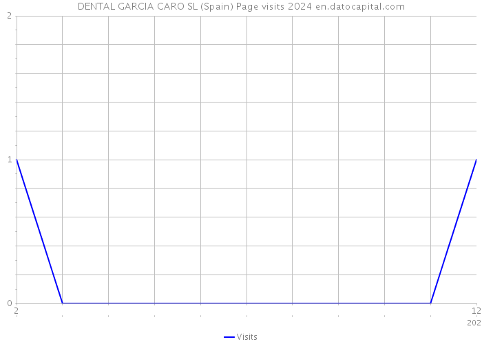 DENTAL GARCIA CARO SL (Spain) Page visits 2024 