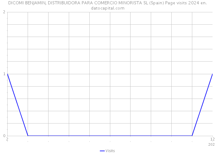 DICOMI BENJAMIN, DISTRIBUIDORA PARA COMERCIO MINORISTA SL (Spain) Page visits 2024 