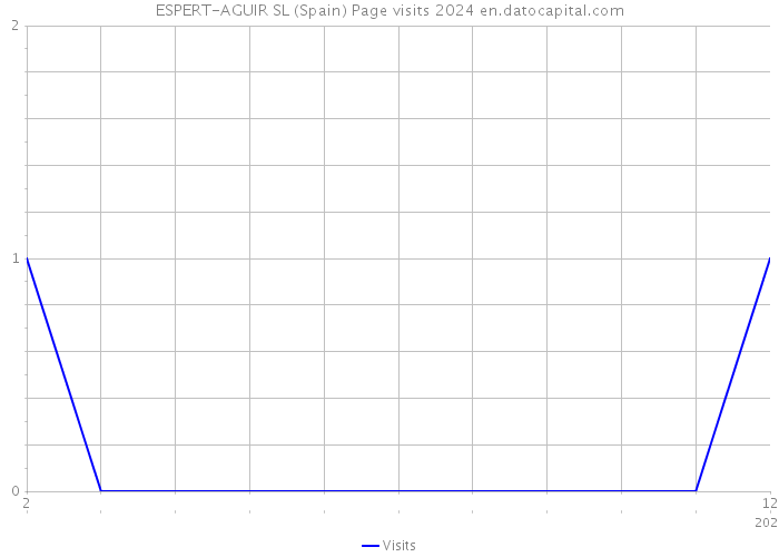 ESPERT-AGUIR SL (Spain) Page visits 2024 