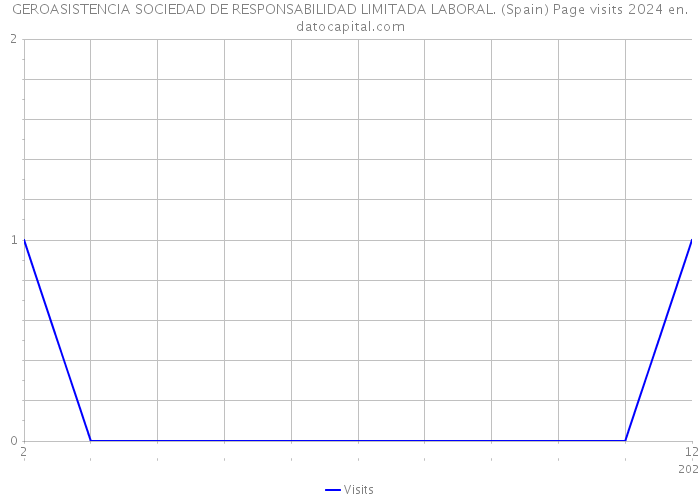 GEROASISTENCIA SOCIEDAD DE RESPONSABILIDAD LIMITADA LABORAL. (Spain) Page visits 2024 