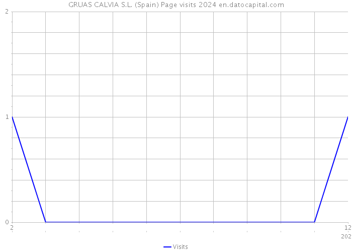 GRUAS CALVIA S.L. (Spain) Page visits 2024 