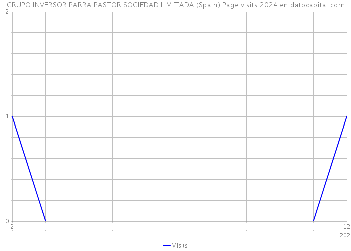 GRUPO INVERSOR PARRA PASTOR SOCIEDAD LIMITADA (Spain) Page visits 2024 