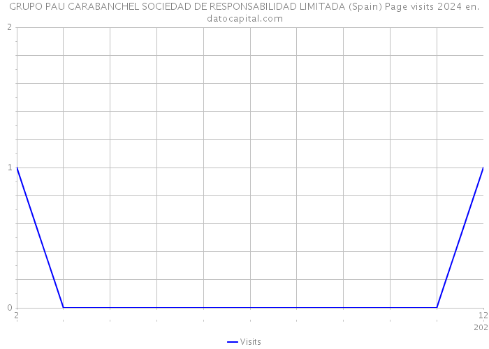 GRUPO PAU CARABANCHEL SOCIEDAD DE RESPONSABILIDAD LIMITADA (Spain) Page visits 2024 