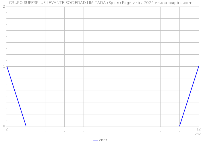 GRUPO SUPERPLUS LEVANTE SOCIEDAD LIMITADA (Spain) Page visits 2024 