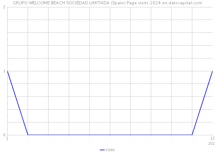 GRUPO WELCOME BEACH SOCIEDAD LIMITADA (Spain) Page visits 2024 