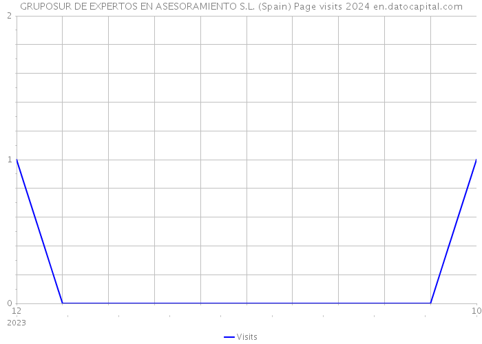GRUPOSUR DE EXPERTOS EN ASESORAMIENTO S.L. (Spain) Page visits 2024 