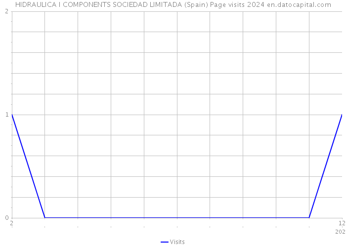 HIDRAULICA I COMPONENTS SOCIEDAD LIMITADA (Spain) Page visits 2024 