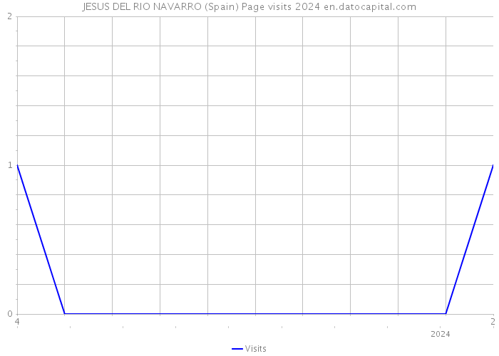 JESUS DEL RIO NAVARRO (Spain) Page visits 2024 