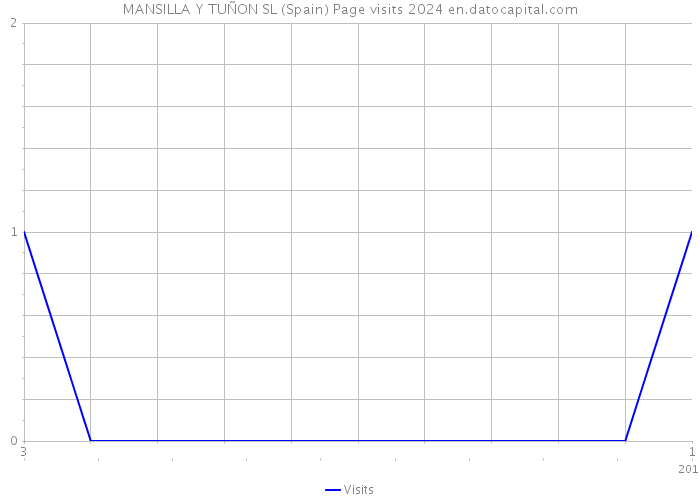 MANSILLA Y TUÑON SL (Spain) Page visits 2024 