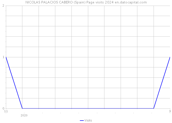 NICOLAS PALACIOS CABERO (Spain) Page visits 2024 