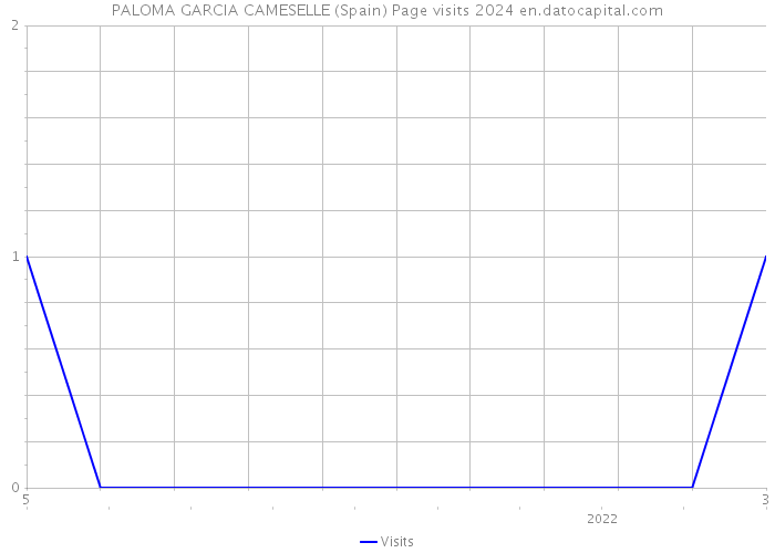 PALOMA GARCIA CAMESELLE (Spain) Page visits 2024 