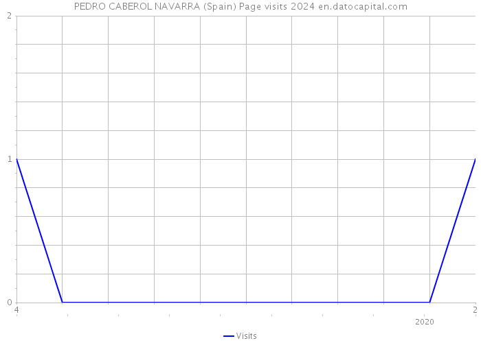 PEDRO CABEROL NAVARRA (Spain) Page visits 2024 