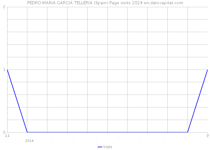 PEDRO MARIA GARCIA TELLERIA (Spain) Page visits 2024 