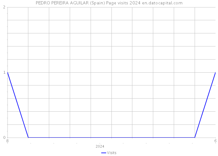 PEDRO PEREIRA AGUILAR (Spain) Page visits 2024 