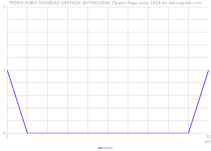 PEDRO RUBIO SOCIEDAD LIMITADA (EXTINGUIDA) (Spain) Page visits 2024 