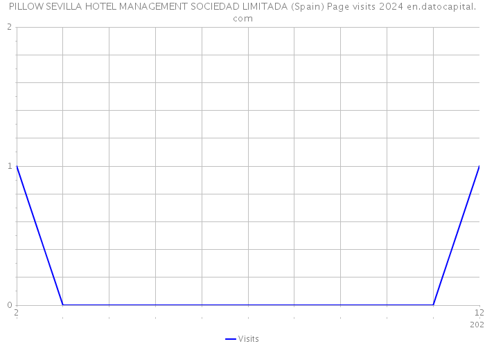 PILLOW SEVILLA HOTEL MANAGEMENT SOCIEDAD LIMITADA (Spain) Page visits 2024 