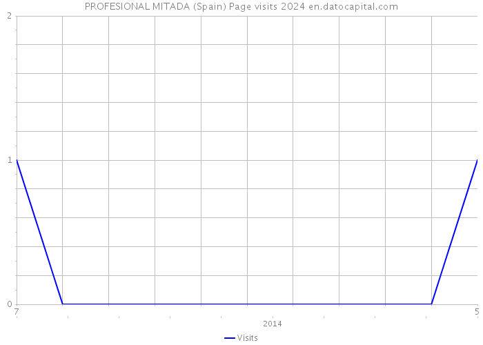 PROFESIONAL MITADA (Spain) Page visits 2024 