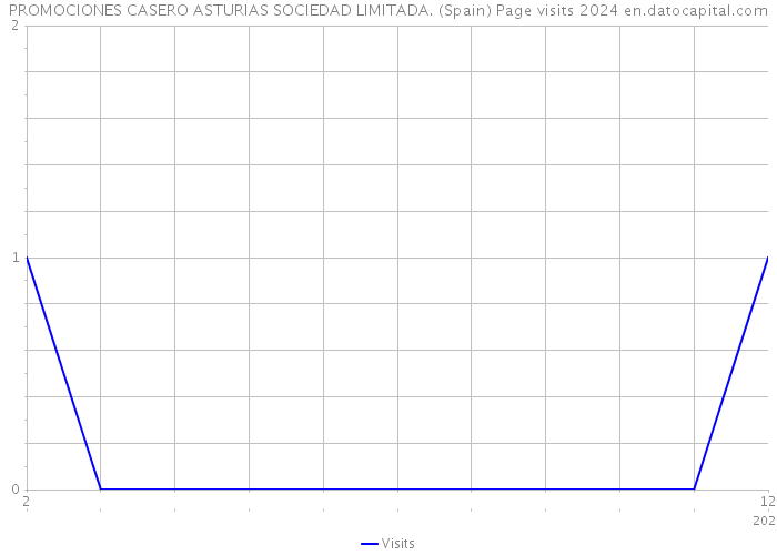 PROMOCIONES CASERO ASTURIAS SOCIEDAD LIMITADA. (Spain) Page visits 2024 