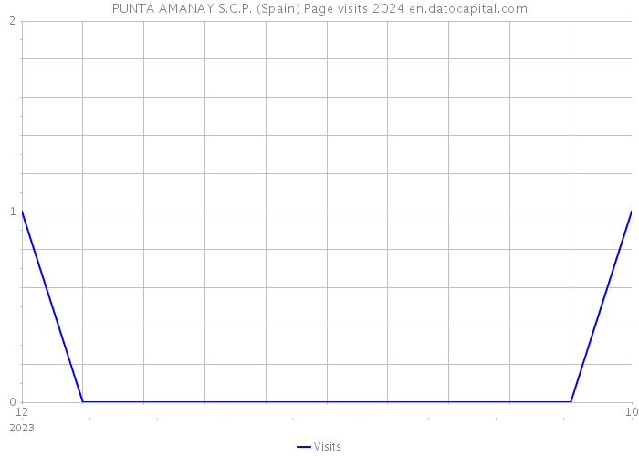 PUNTA AMANAY S.C.P. (Spain) Page visits 2024 