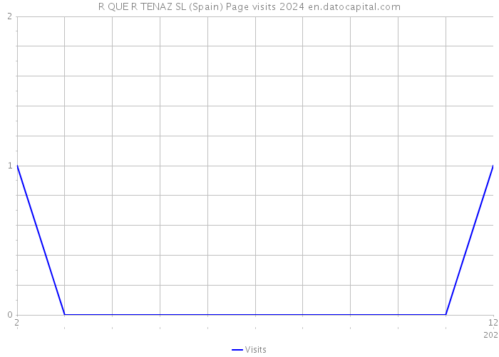 R QUE R TENAZ SL (Spain) Page visits 2024 