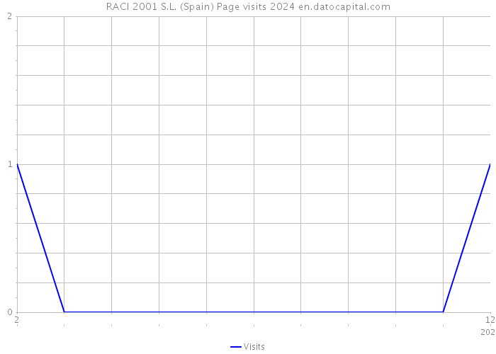 RACI 2001 S.L. (Spain) Page visits 2024 