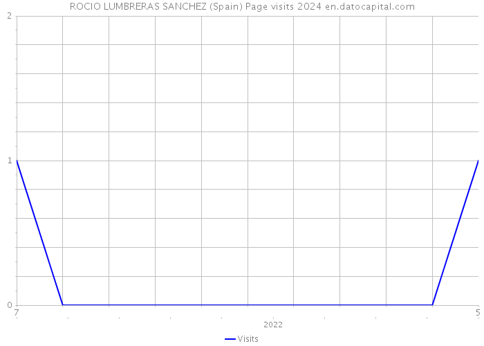 ROCIO LUMBRERAS SANCHEZ (Spain) Page visits 2024 