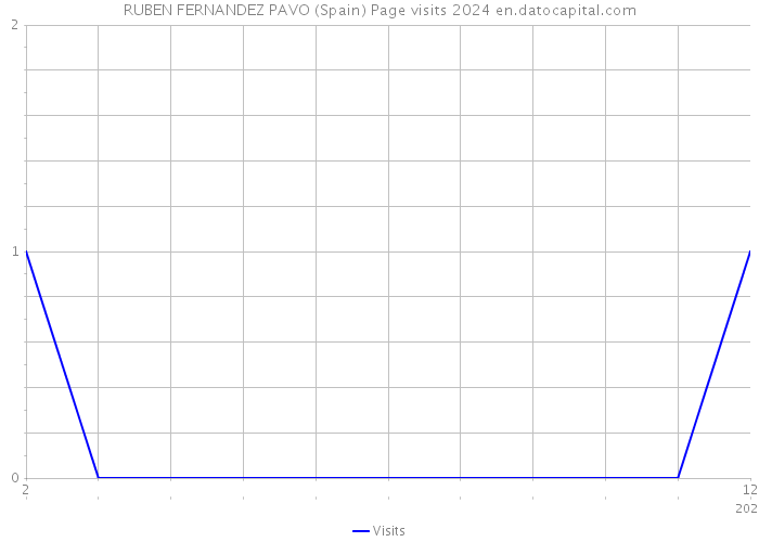 RUBEN FERNANDEZ PAVO (Spain) Page visits 2024 