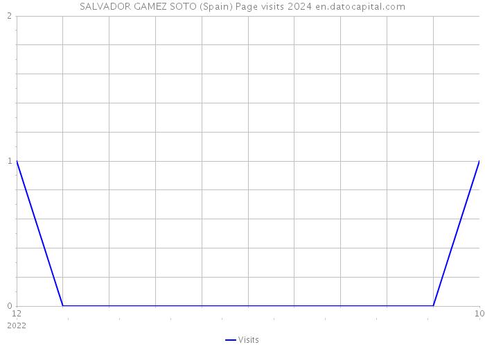SALVADOR GAMEZ SOTO (Spain) Page visits 2024 